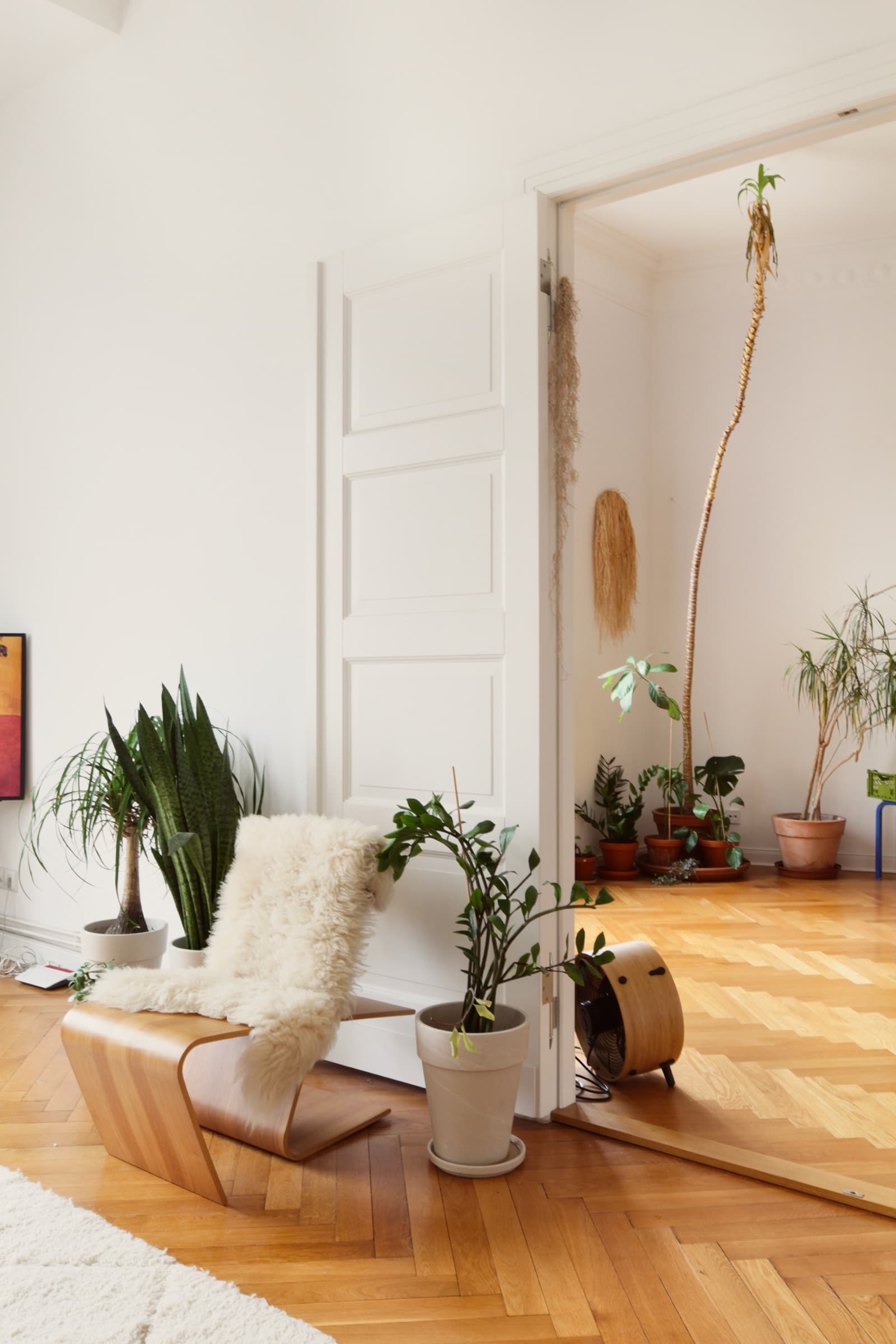 Ecke mit Palme, Kaktus und Loungesessel