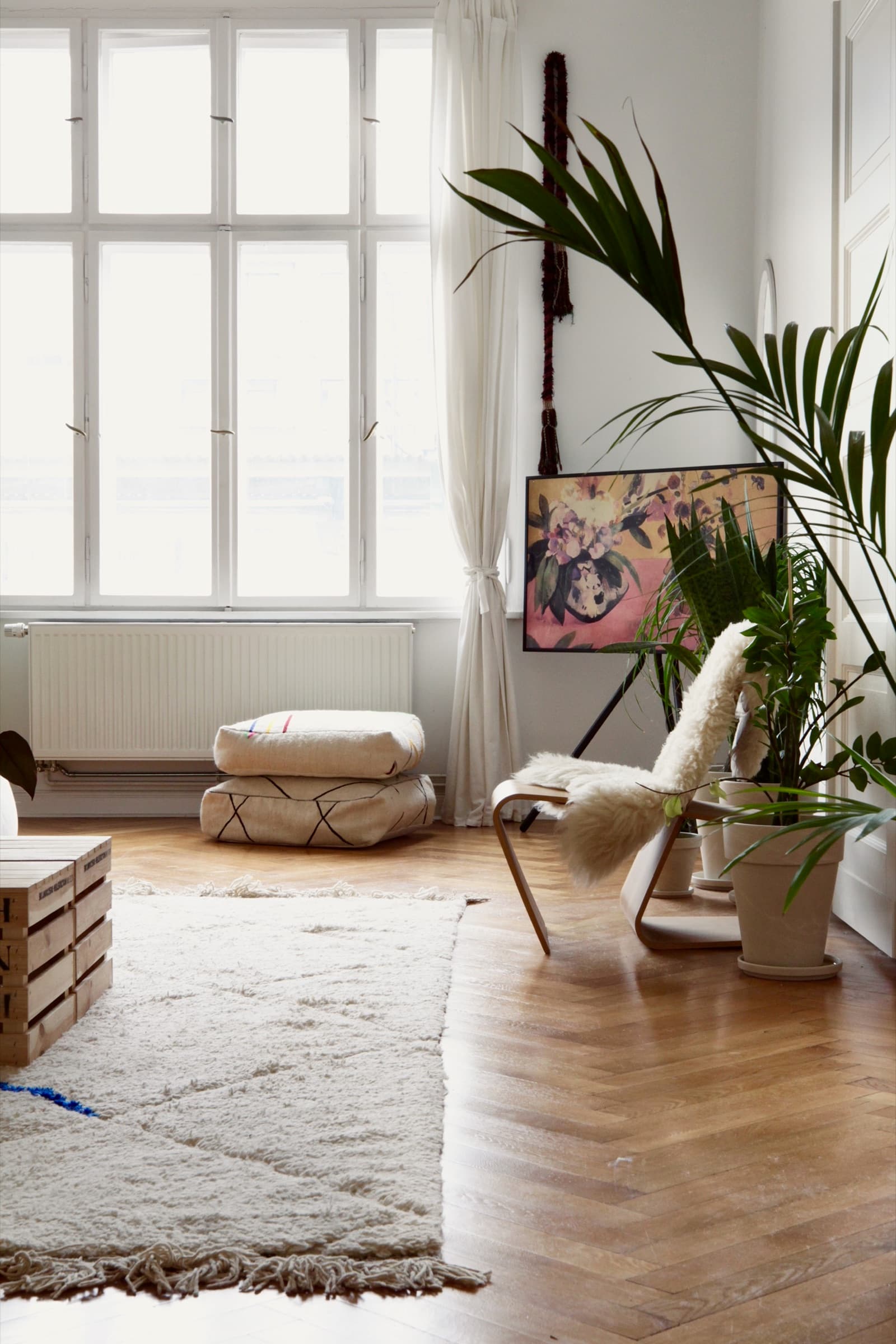 Altbaufenster mit Vorhang und Zimmerpflanzen, natürliches Tageslicht